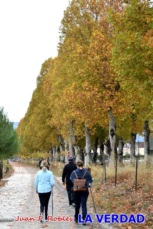 Unas 200 personas de Granja de Rocamora, Abanilla y Ulea finalizaron ayer el recorrido, a pide, de los 120 kilómetros que separan la localidad alicantina de Caravaca de la Cruz. Los cuatro municipios comparten la devoción a sendos Lignum Crucis que se veneran en cada una de las localidades. Ayer recorrieron la última etapa, desde Bullas hasta basílica de la Vera Cruz en una ceremonia oficiada por el rector, Emilio Sánchez, y en la que estuvieron presentes los representantes de las instituciones religiosas que organizaban la peregrinación y una representación de los ocho Ayuntamientos que atraviesa este camino.