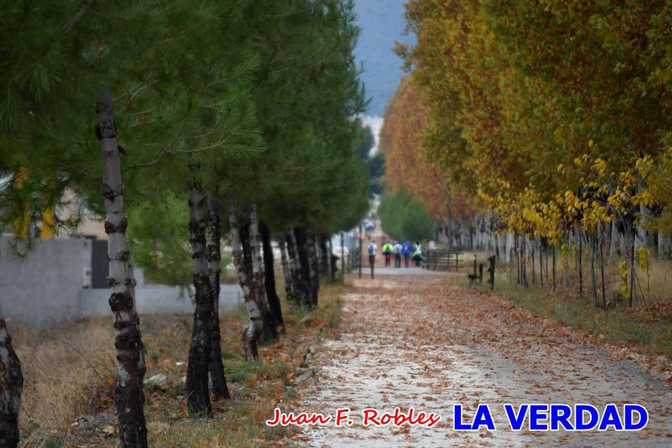 Unas 200 personas de Granja de Rocamora, Abanilla y Ulea finalizaron ayer el recorrido, a pide, de los 120 kilómetros que separan la localidad alicantina de Caravaca de la Cruz. Los cuatro municipios comparten la devoción a sendos Lignum Crucis que se veneran en cada una de las localidades. Ayer recorrieron la última etapa, desde Bullas hasta basílica de la Vera Cruz en una ceremonia oficiada por el rector, Emilio Sánchez, y en la que estuvieron presentes los representantes de las instituciones religiosas que organizaban la peregrinación y una representación de los ocho Ayuntamientos que atraviesa este camino.