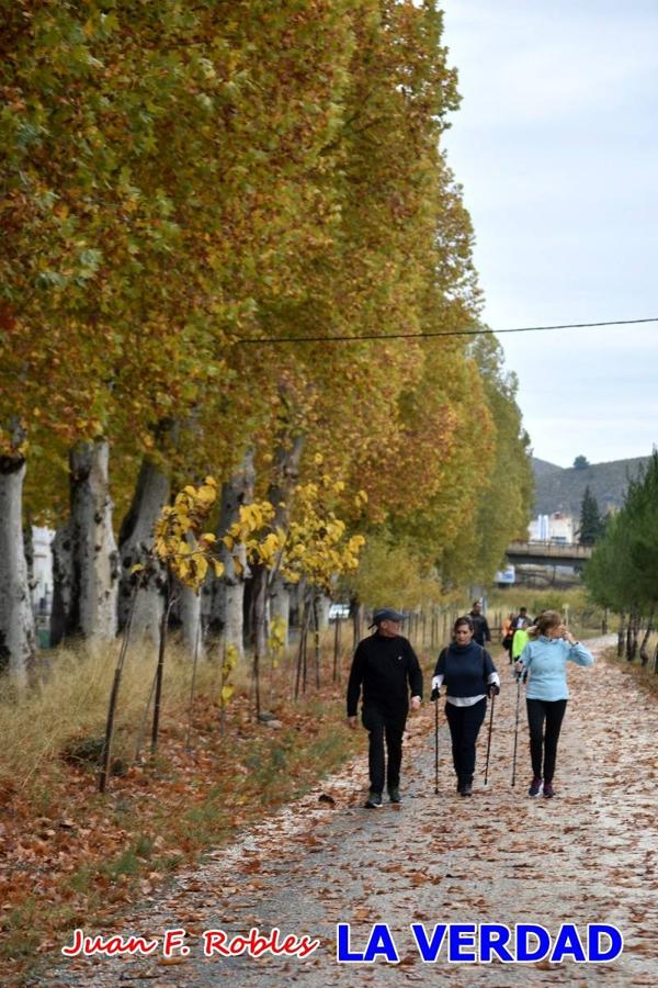 Unas 200 personas de Granja de Rocamora, Abanilla y Ulea finalizaron ayer el recorrido, a pide, de los 120 kilómetros que separan la localidad alicantina de Caravaca de la Cruz. Los cuatro municipios comparten la devoción a sendos Lignum Crucis que se veneran en cada una de las localidades. Ayer recorrieron la última etapa, desde Bullas hasta basílica de la Vera Cruz en una ceremonia oficiada por el rector, Emilio Sánchez, y en la que estuvieron presentes los representantes de las instituciones religiosas que organizaban la peregrinación y una representación de los ocho Ayuntamientos que atraviesa este camino.