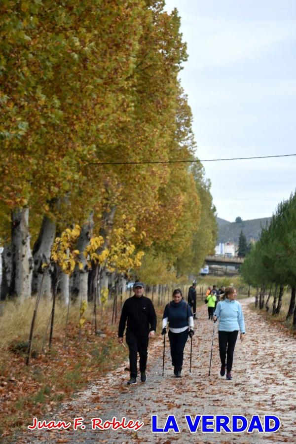 Unas 200 personas de Granja de Rocamora, Abanilla y Ulea finalizaron ayer el recorrido, a pide, de los 120 kilómetros que separan la localidad alicantina de Caravaca de la Cruz. Los cuatro municipios comparten la devoción a sendos Lignum Crucis que se veneran en cada una de las localidades. Ayer recorrieron la última etapa, desde Bullas hasta basílica de la Vera Cruz en una ceremonia oficiada por el rector, Emilio Sánchez, y en la que estuvieron presentes los representantes de las instituciones religiosas que organizaban la peregrinación y una representación de los ocho Ayuntamientos que atraviesa este camino.