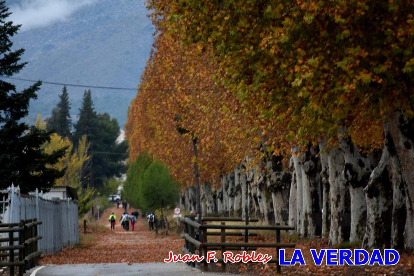 Unas 200 personas de Granja de Rocamora, Abanilla y Ulea finalizaron ayer el recorrido, a pide, de los 120 kilómetros que separan la localidad alicantina de Caravaca de la Cruz. Los cuatro municipios comparten la devoción a sendos Lignum Crucis que se veneran en cada una de las localidades. Ayer recorrieron la última etapa, desde Bullas hasta basílica de la Vera Cruz en una ceremonia oficiada por el rector, Emilio Sánchez, y en la que estuvieron presentes los representantes de las instituciones religiosas que organizaban la peregrinación y una representación de los ocho Ayuntamientos que atraviesa este camino.