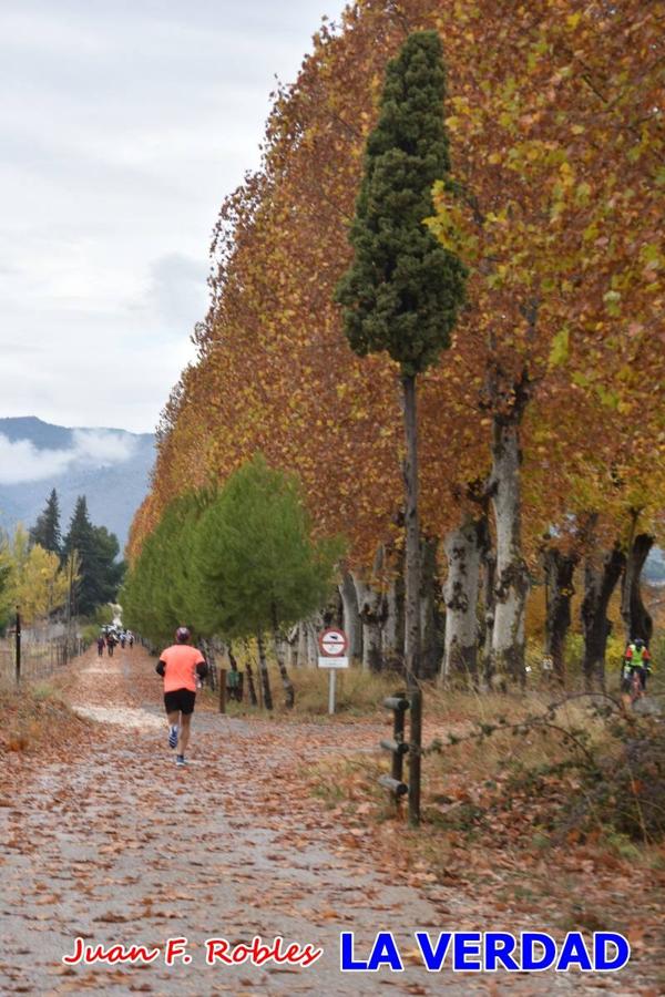 Unas 200 personas de Granja de Rocamora, Abanilla y Ulea finalizaron ayer el recorrido, a pide, de los 120 kilómetros que separan la localidad alicantina de Caravaca de la Cruz. Los cuatro municipios comparten la devoción a sendos Lignum Crucis que se veneran en cada una de las localidades. Ayer recorrieron la última etapa, desde Bullas hasta basílica de la Vera Cruz en una ceremonia oficiada por el rector, Emilio Sánchez, y en la que estuvieron presentes los representantes de las instituciones religiosas que organizaban la peregrinación y una representación de los ocho Ayuntamientos que atraviesa este camino.