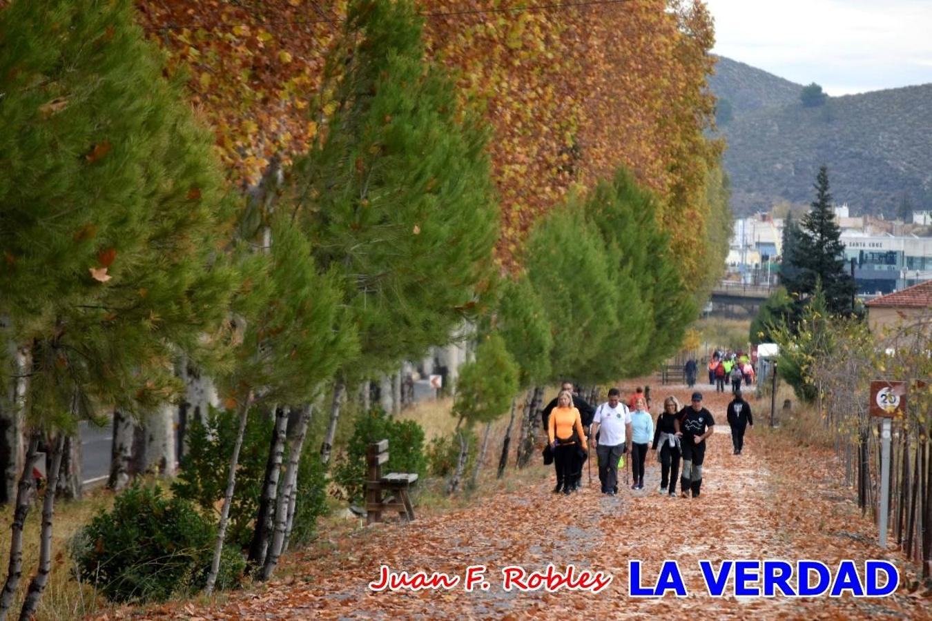 Unas 200 personas de Granja de Rocamora, Abanilla y Ulea finalizaron ayer el recorrido, a pide, de los 120 kilómetros que separan la localidad alicantina de Caravaca de la Cruz. Los cuatro municipios comparten la devoción a sendos Lignum Crucis que se veneran en cada una de las localidades. Ayer recorrieron la última etapa, desde Bullas hasta basílica de la Vera Cruz en una ceremonia oficiada por el rector, Emilio Sánchez, y en la que estuvieron presentes los representantes de las instituciones religiosas que organizaban la peregrinación y una representación de los ocho Ayuntamientos que atraviesa este camino.