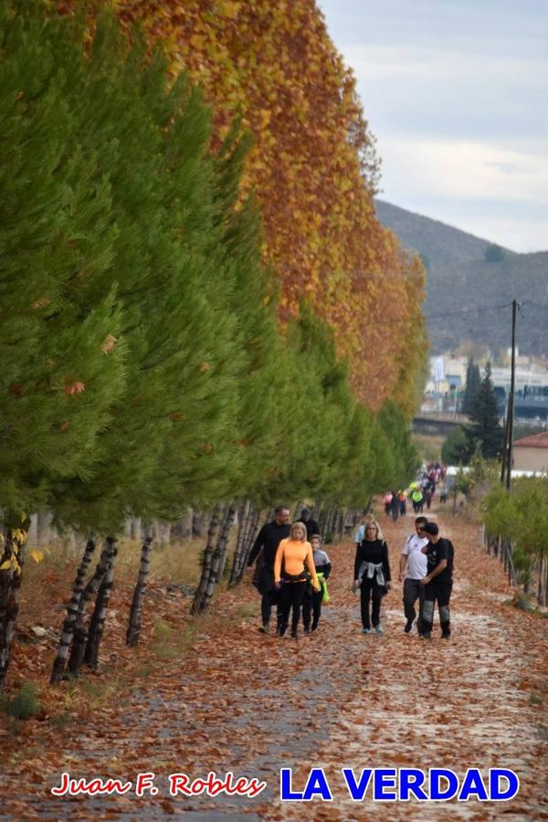 Unas 200 personas de Granja de Rocamora, Abanilla y Ulea finalizaron ayer el recorrido, a pide, de los 120 kilómetros que separan la localidad alicantina de Caravaca de la Cruz. Los cuatro municipios comparten la devoción a sendos Lignum Crucis que se veneran en cada una de las localidades. Ayer recorrieron la última etapa, desde Bullas hasta basílica de la Vera Cruz en una ceremonia oficiada por el rector, Emilio Sánchez, y en la que estuvieron presentes los representantes de las instituciones religiosas que organizaban la peregrinación y una representación de los ocho Ayuntamientos que atraviesa este camino.