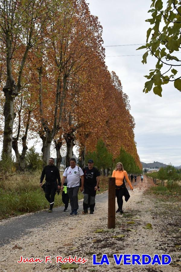 Unas 200 personas de Granja de Rocamora, Abanilla y Ulea finalizaron ayer el recorrido, a pide, de los 120 kilómetros que separan la localidad alicantina de Caravaca de la Cruz. Los cuatro municipios comparten la devoción a sendos Lignum Crucis que se veneran en cada una de las localidades. Ayer recorrieron la última etapa, desde Bullas hasta basílica de la Vera Cruz en una ceremonia oficiada por el rector, Emilio Sánchez, y en la que estuvieron presentes los representantes de las instituciones religiosas que organizaban la peregrinación y una representación de los ocho Ayuntamientos que atraviesa este camino.