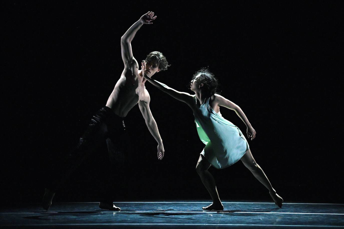 Fotos: La danza de los cisnes