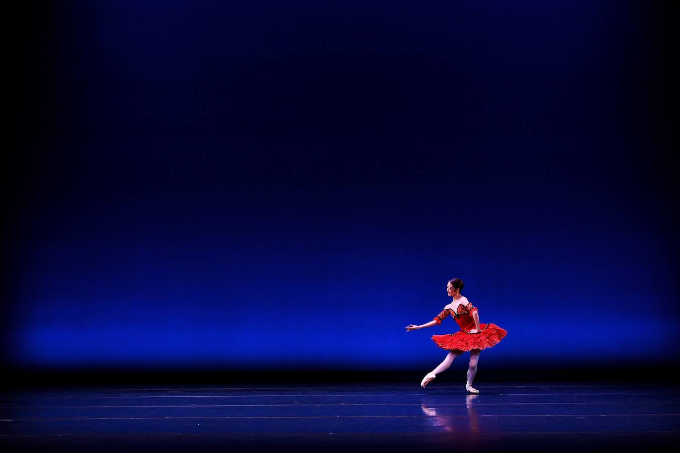 Fotos: La danza de los cisnes