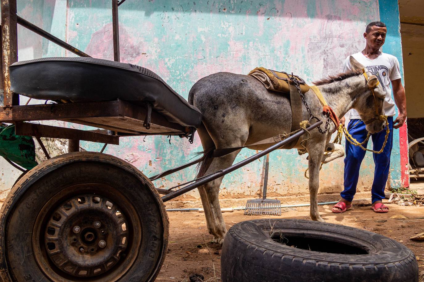 Fotos: A falta de gasolina, burros