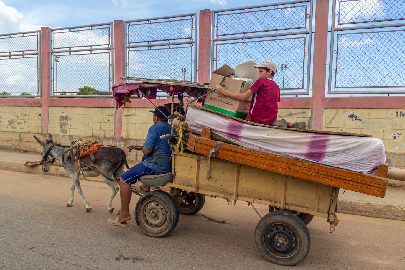 Fotos: A falta de gasolina, burros