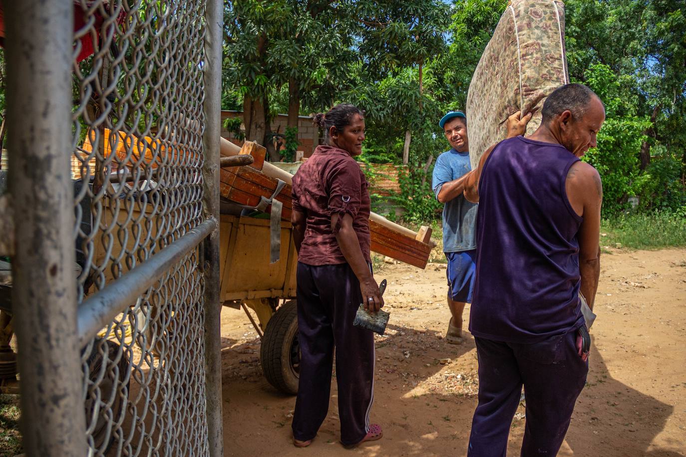 Fotos: A falta de gasolina, burros