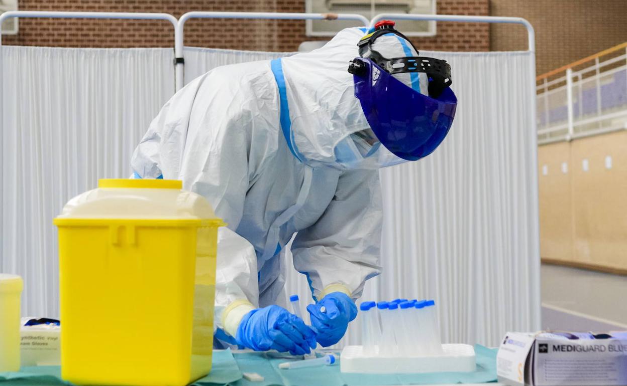 Un sanitario prepara pruebas diagnósticas, en una foto de archivo.