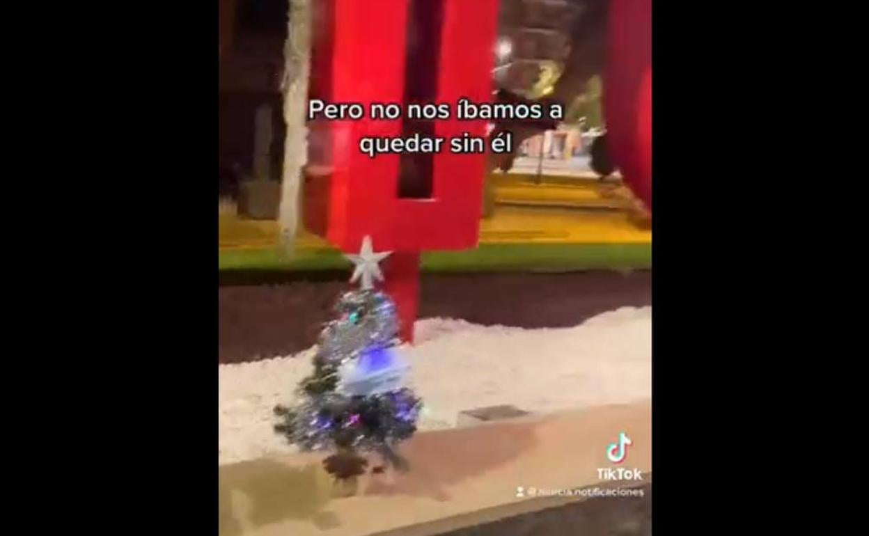 Pequeño árbol de Navidad ubicado en la plaza Circular