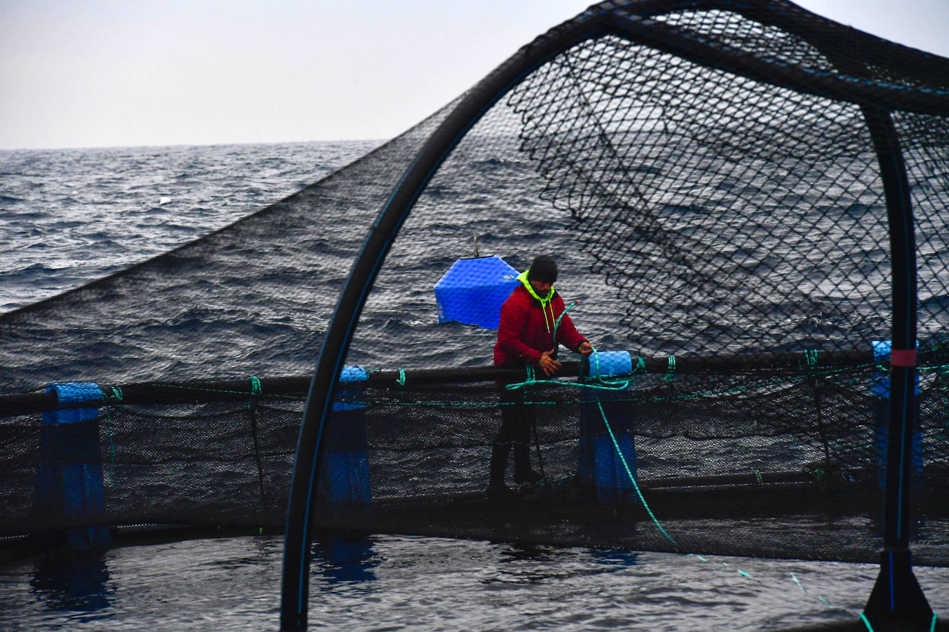 Fotos: Un sistema inteligente pionero reduce el impacto ambiental y el coste de la acuicultura