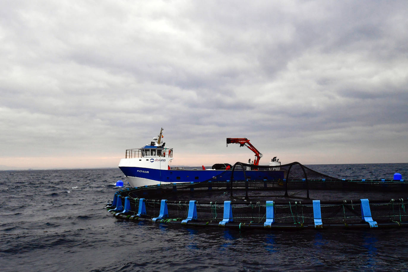Fotos: Un sistema inteligente pionero reduce el impacto ambiental y el coste de la acuicultura