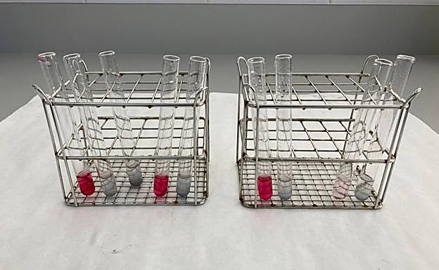 Varias muestras del proyecto.