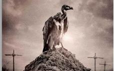 Historias para lectores kamikazes