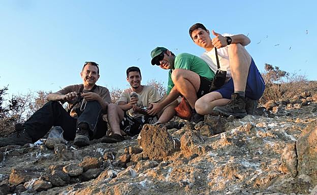 Gustavo Ballesteros, Antonio Zamora, José Manuel Vidal y José Manuel Zamora anillando un pollo de gaviota patiamarilla en una de las islas del Mar Menor.