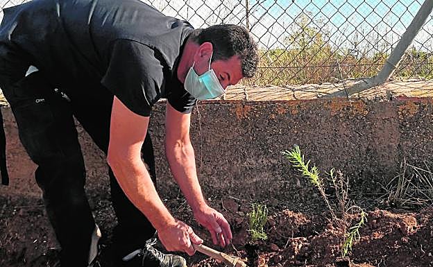 Un usuario de Prolam-Astus participa en la plantación de setos en el espacio del huerto.