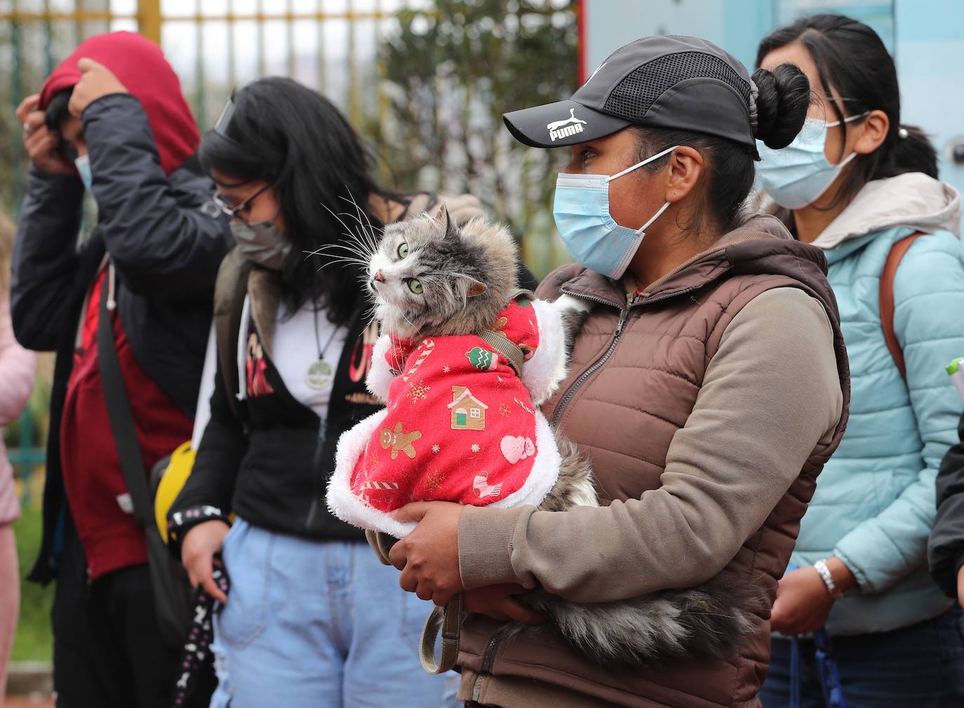 Fotos: Disfraces y vacunas por Navidad