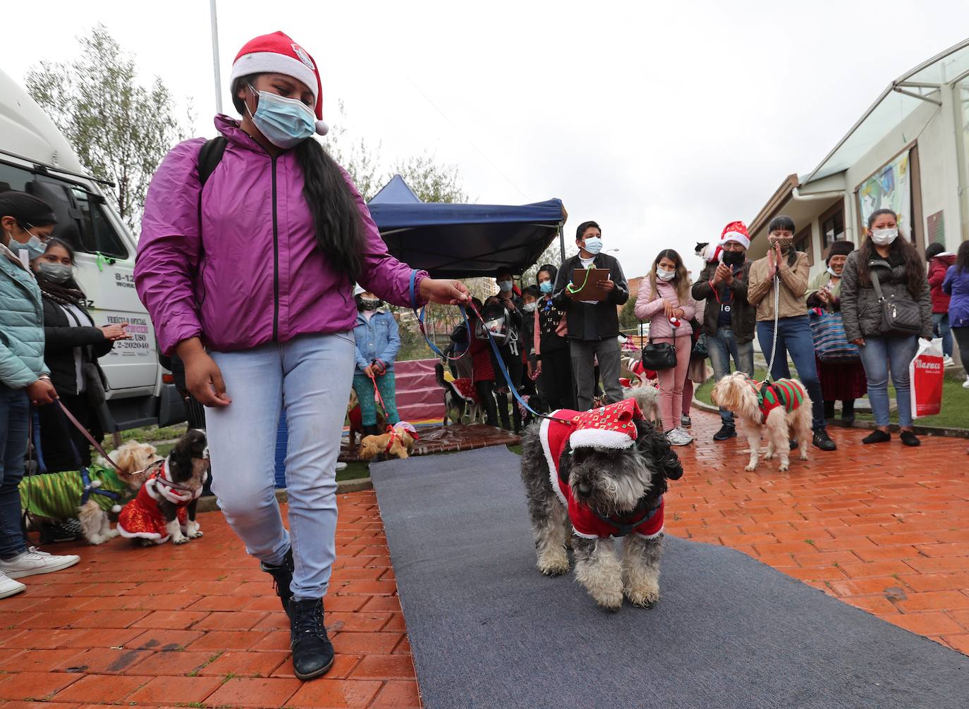 Fotos: Disfraces y vacunas por Navidad