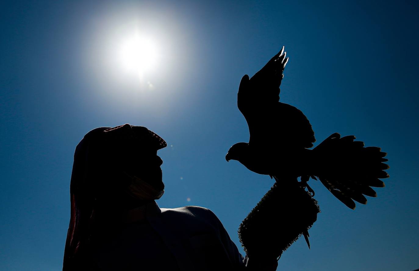 Fotos: Campeonato de Cetrería en Dubái