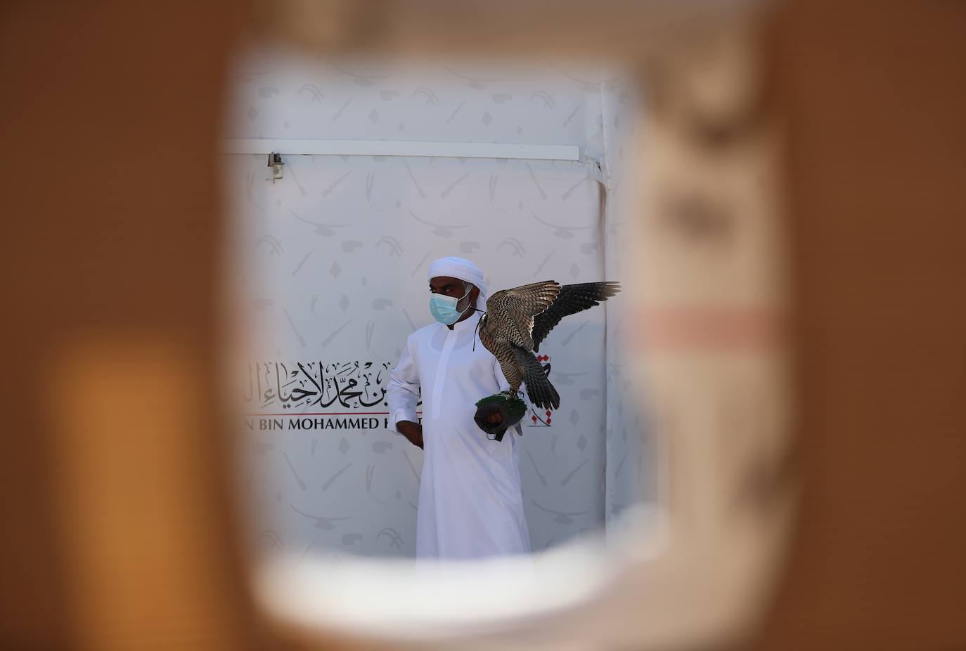 Fotos: Campeonato de Cetrería en Dubái