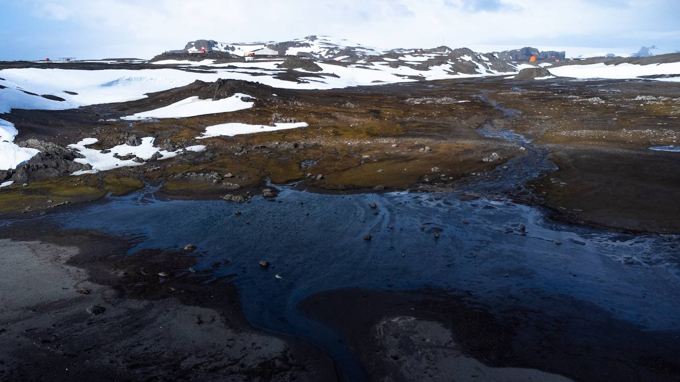 Fotos: La vida en la Antártida