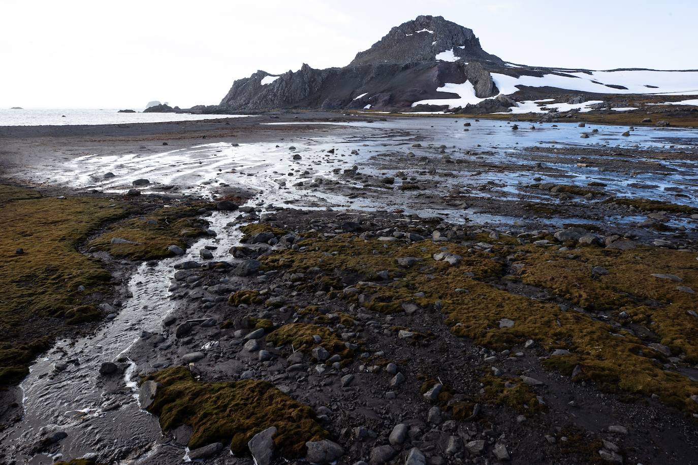 Fotos: La vida en la Antártida