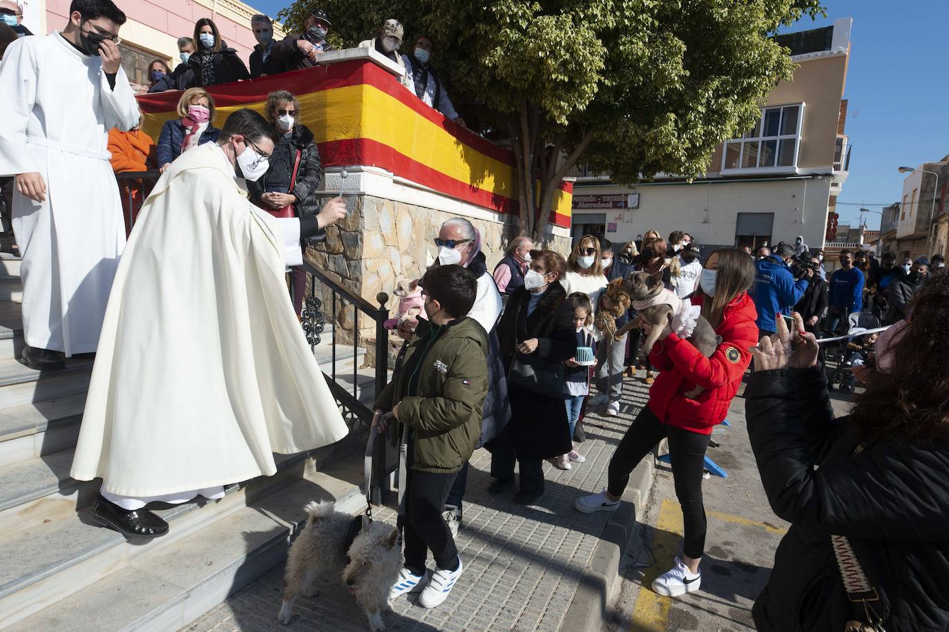 Fotos: San Antón recupera las bendiciones en Cartagena