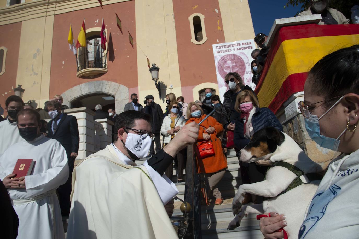 Fotos: San Antón recupera las bendiciones en Cartagena