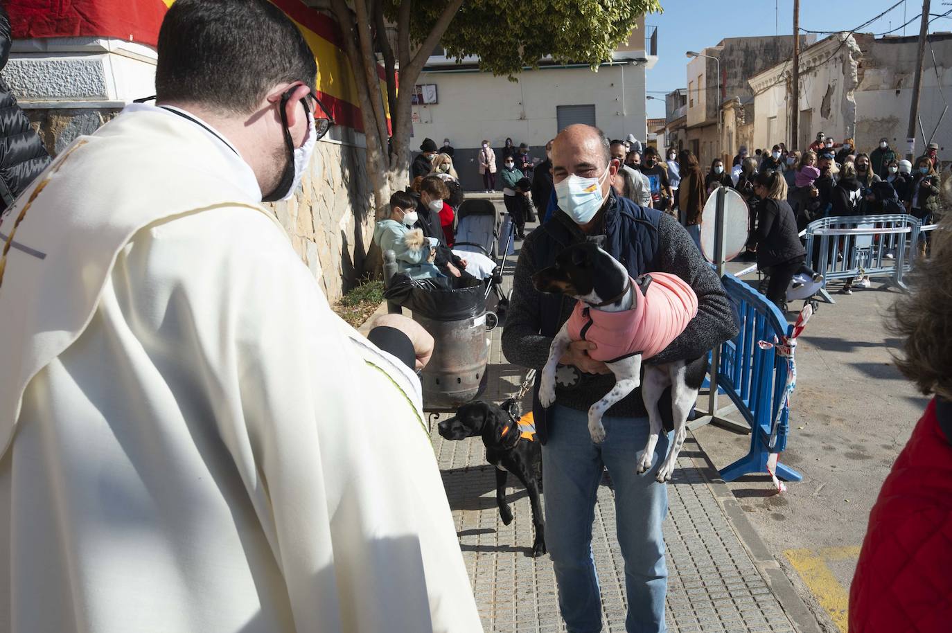 Fotos: San Antón recupera las bendiciones en Cartagena