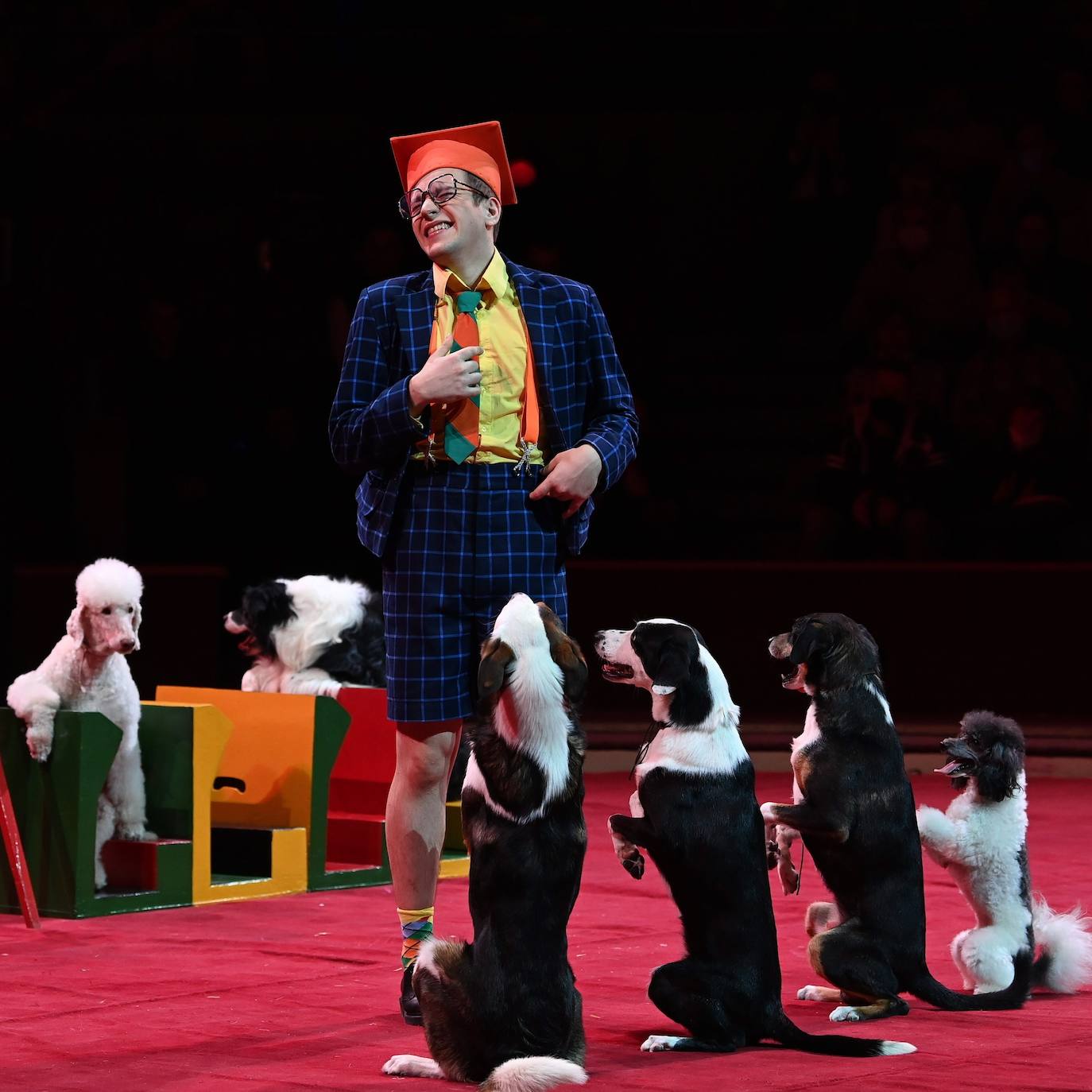 Fotos: Festival de Circo de Budapest