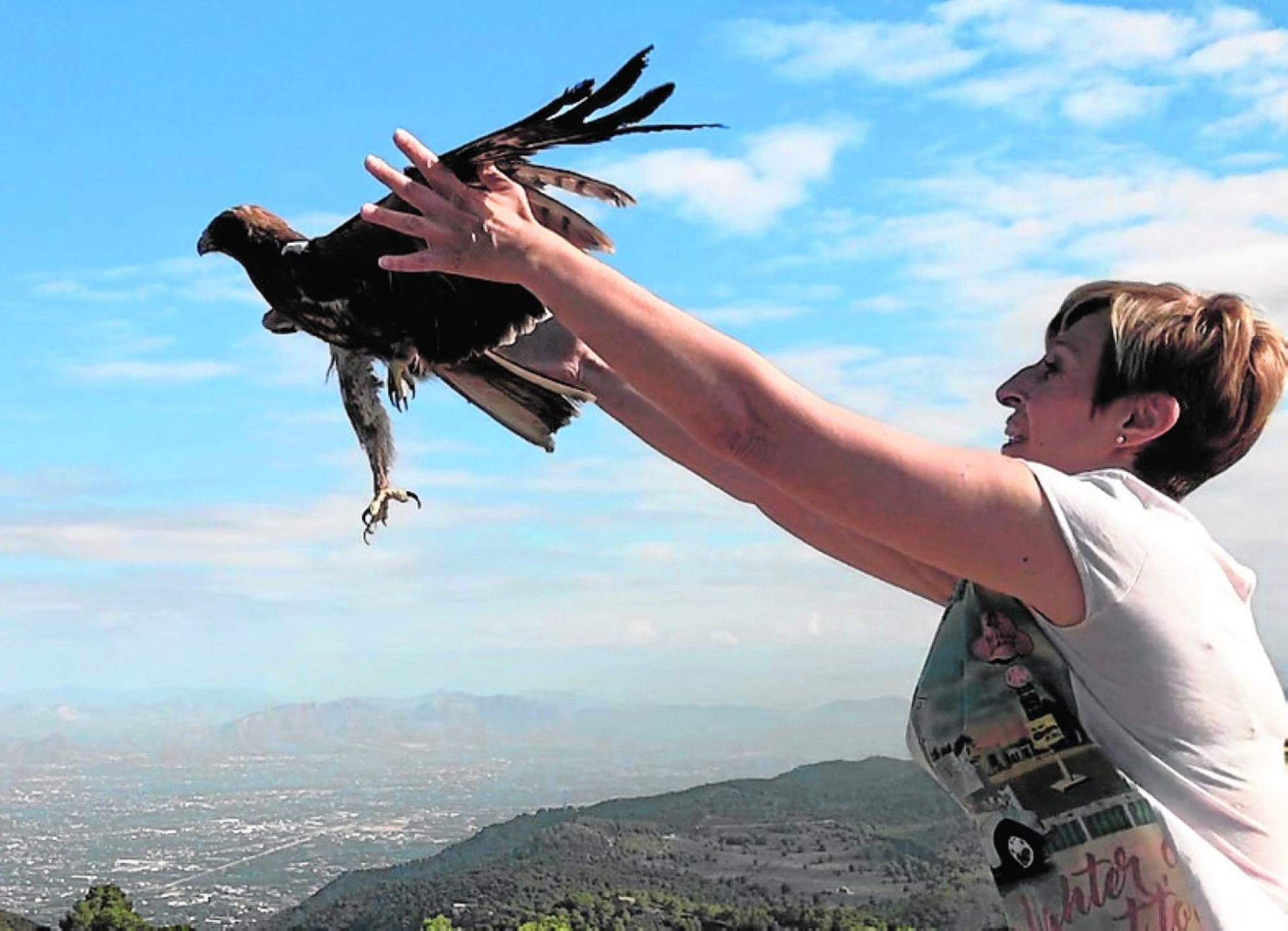 Suelta de un águila tratada en el Centro de Recuperación de Fauna Silvestre de El Valle. 