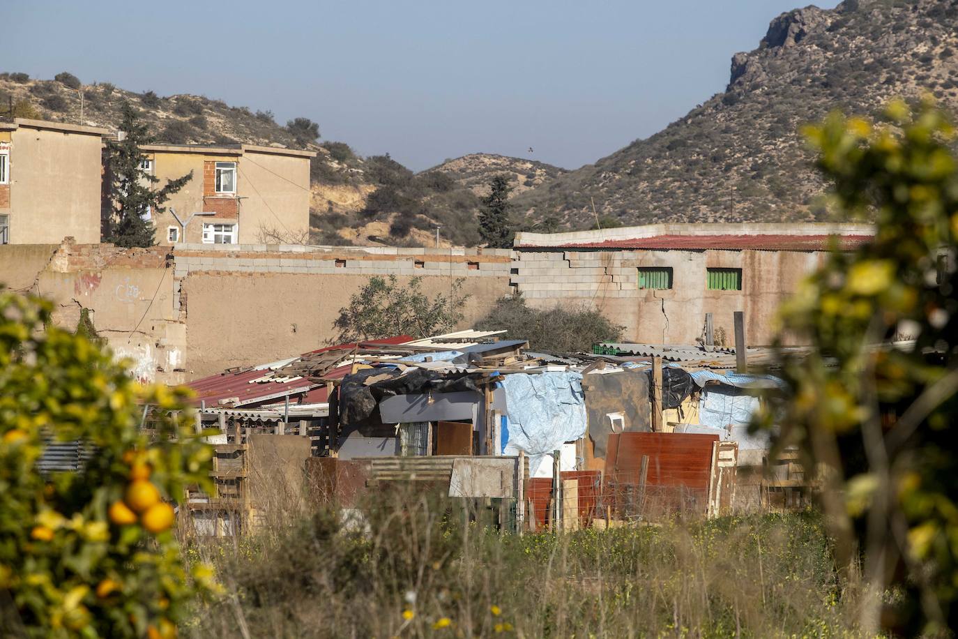 Fotos: Cuadras y corrales clandestinos se extienden junto a Lo Campano ante la pasividad municipal