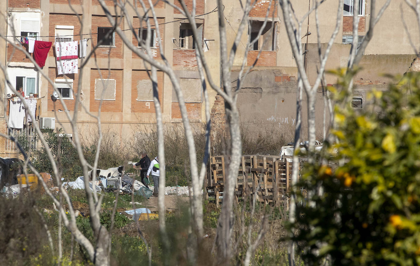 Fotos: Cuadras y corrales clandestinos se extienden junto a Lo Campano ante la pasividad municipal