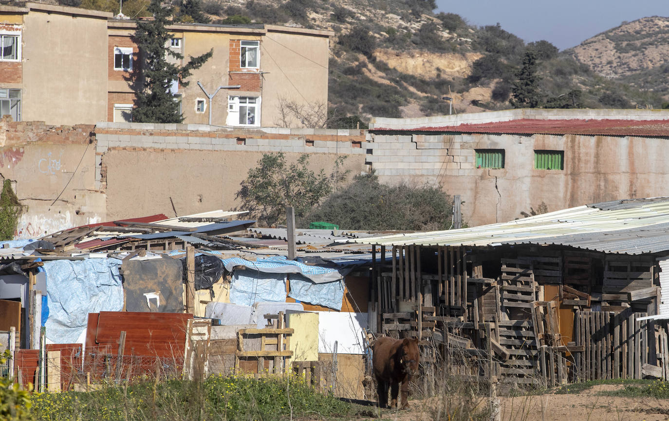 Fotos: Cuadras y corrales clandestinos se extienden junto a Lo Campano ante la pasividad municipal
