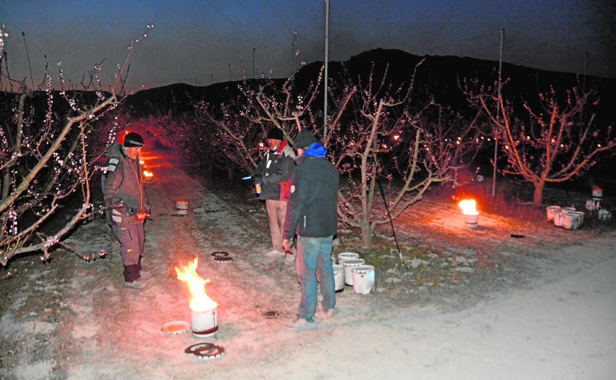 Varios agricultores de Cieza realizan quemas en un huerto para combatir las heladas en una imagen de archivo. 
