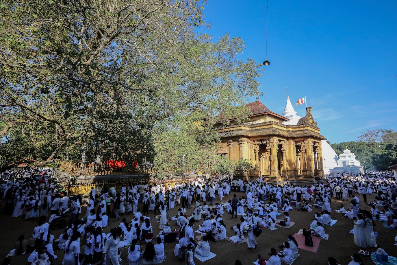 Fotos: Procesión religiosa en Sri Lanka