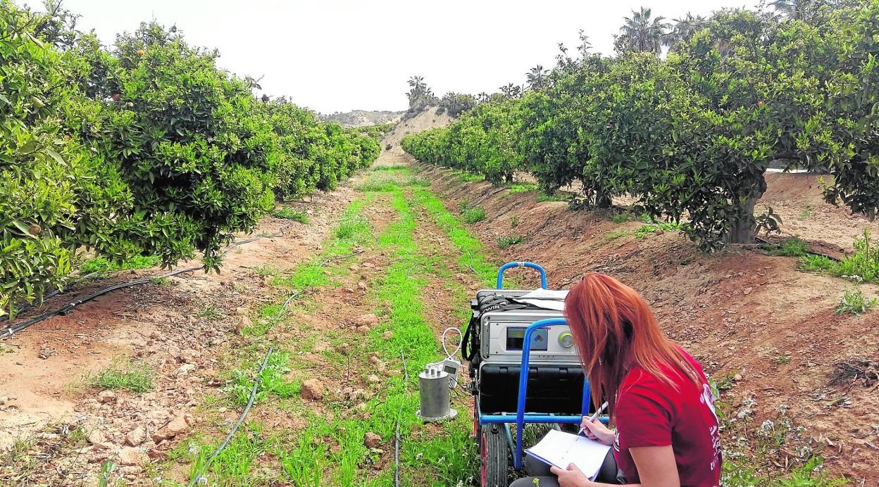 Medición de C02 en una finca utilizada en los ensayos de Diverfarming en la Región de Murcia. 