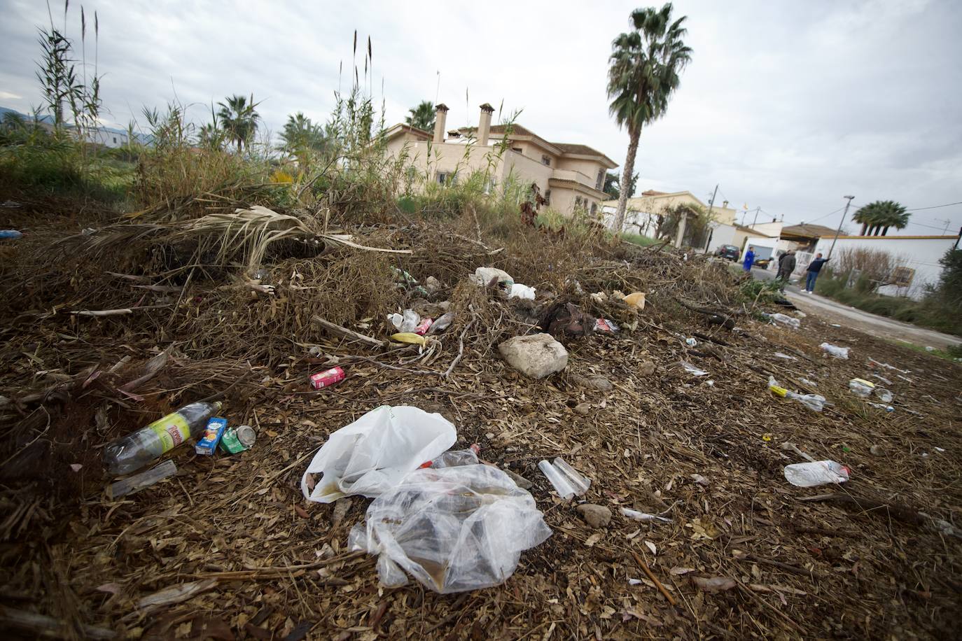 Fotos: Vecinos de La Albatalía denuncian «botellones y amenazas» en la huerta