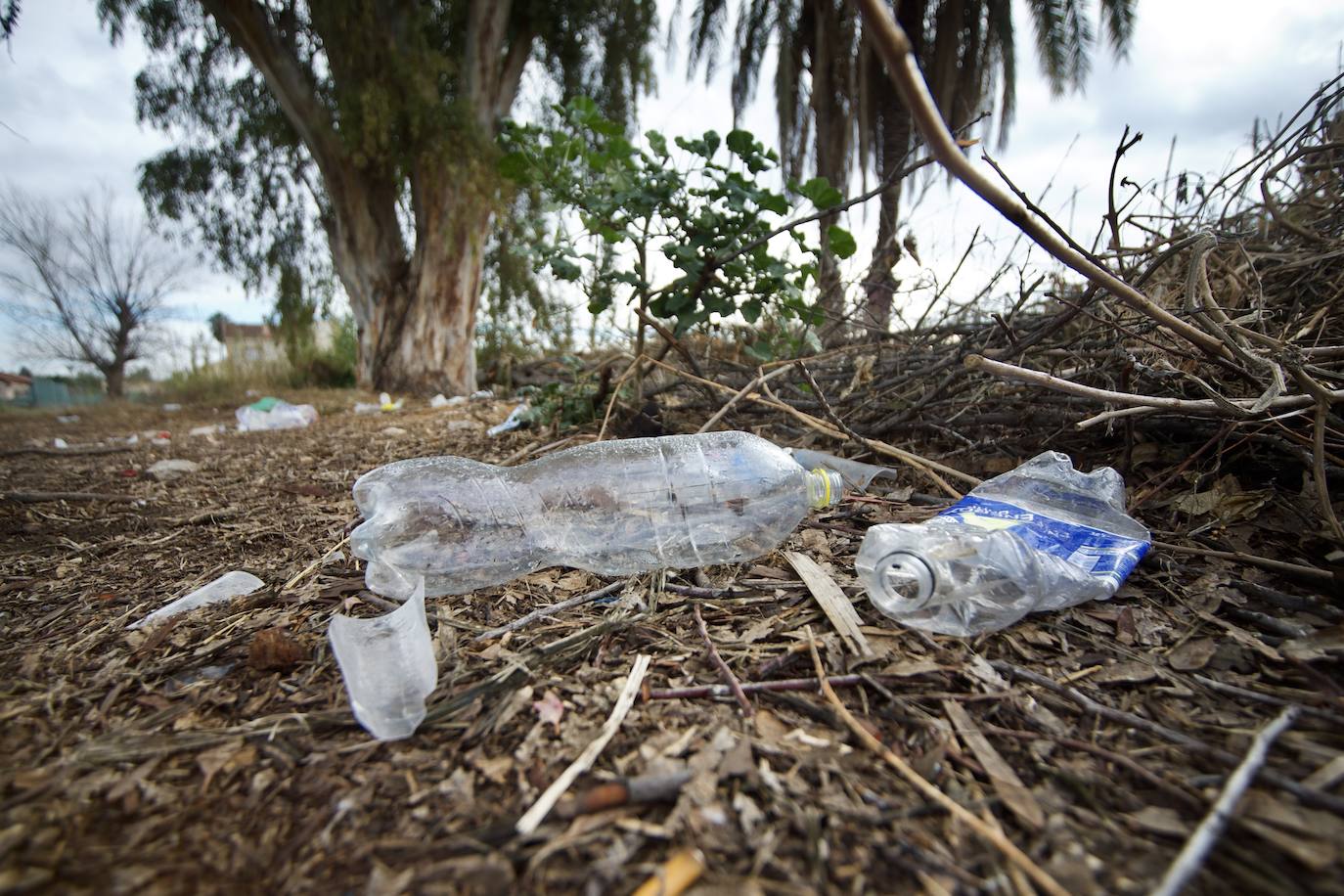 Fotos: Vecinos de La Albatalía denuncian «botellones y amenazas» en la huerta
