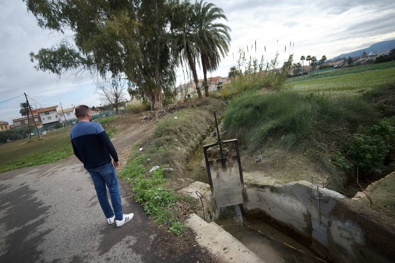 Fotos: Vecinos de La Albatalía denuncian «botellones y amenazas» en la huerta