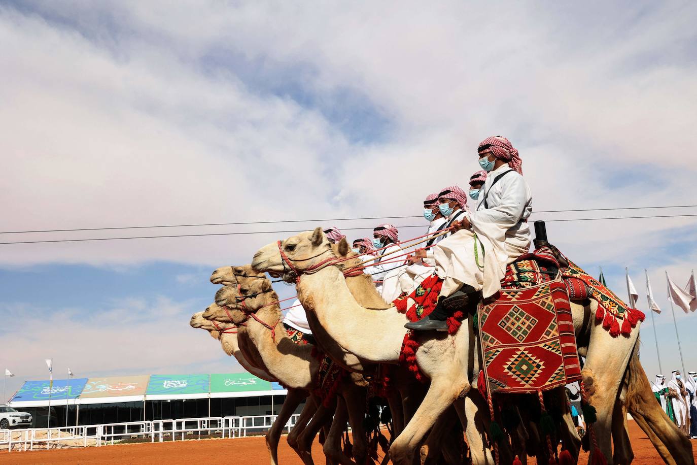 Fotos: Los camellos bellos