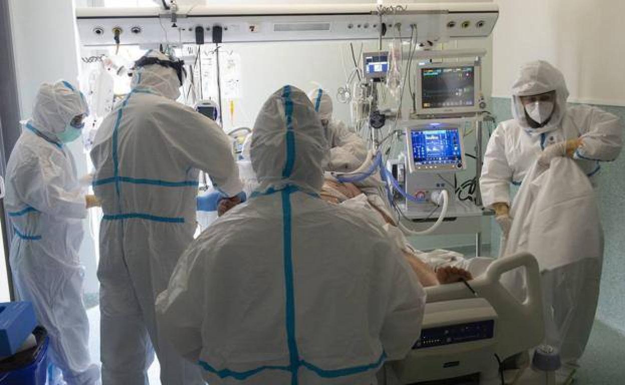 Sanitarios atienden a un paciente con coronavirus, en una imagen de archivo.