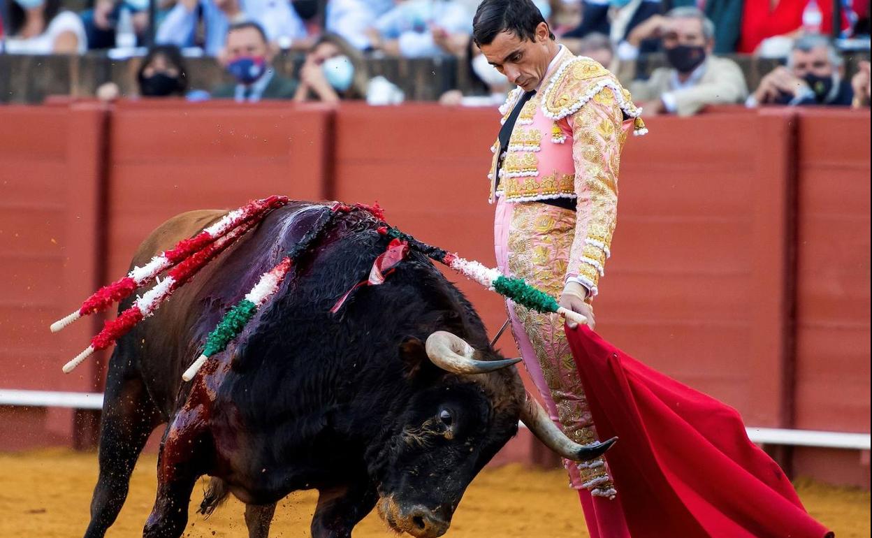 El torero Paco Ureña en La Maestranza de Sevilla, en una fotografía de archivo.