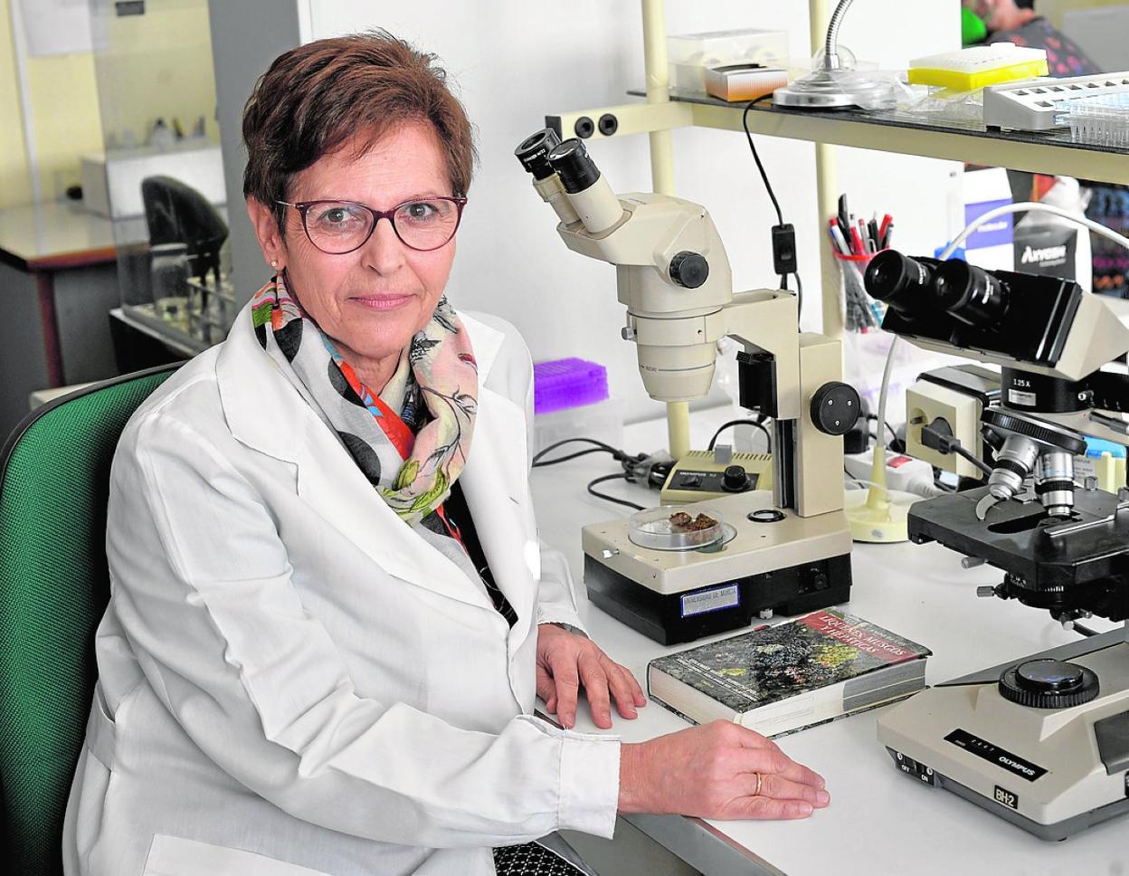 Rosa María Ros Espín, catedrática de Botánica de la UMU.