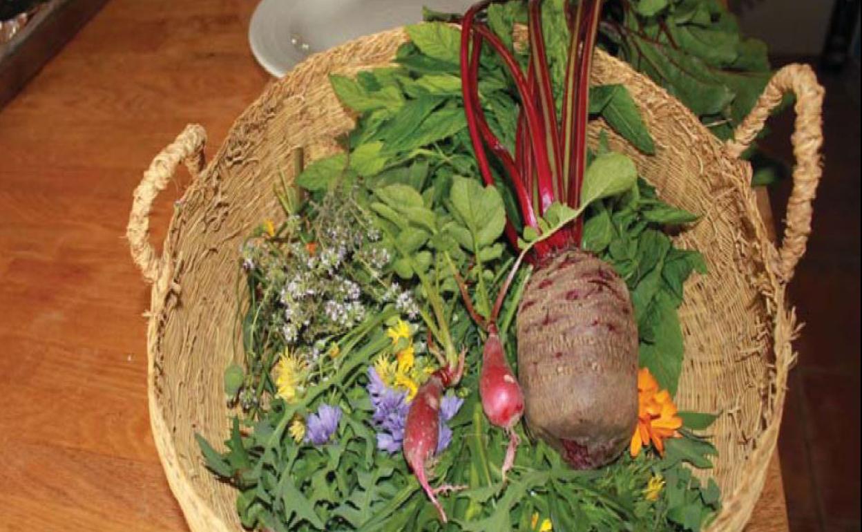 Especies silvestres recolectadas en Torre Pacheco. 