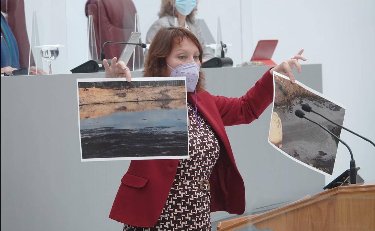 María Marín, esta semana, en la Asamblea Regional.