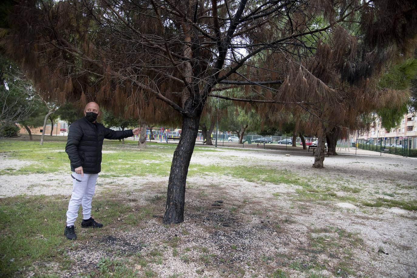 Fotos: Los continuos actos vandálicos irritan y ponen en guardia a los vecinos de Nueva Cartagena