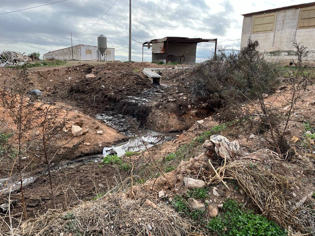 Fotos: Vertidos de purines junto al Mar Menor